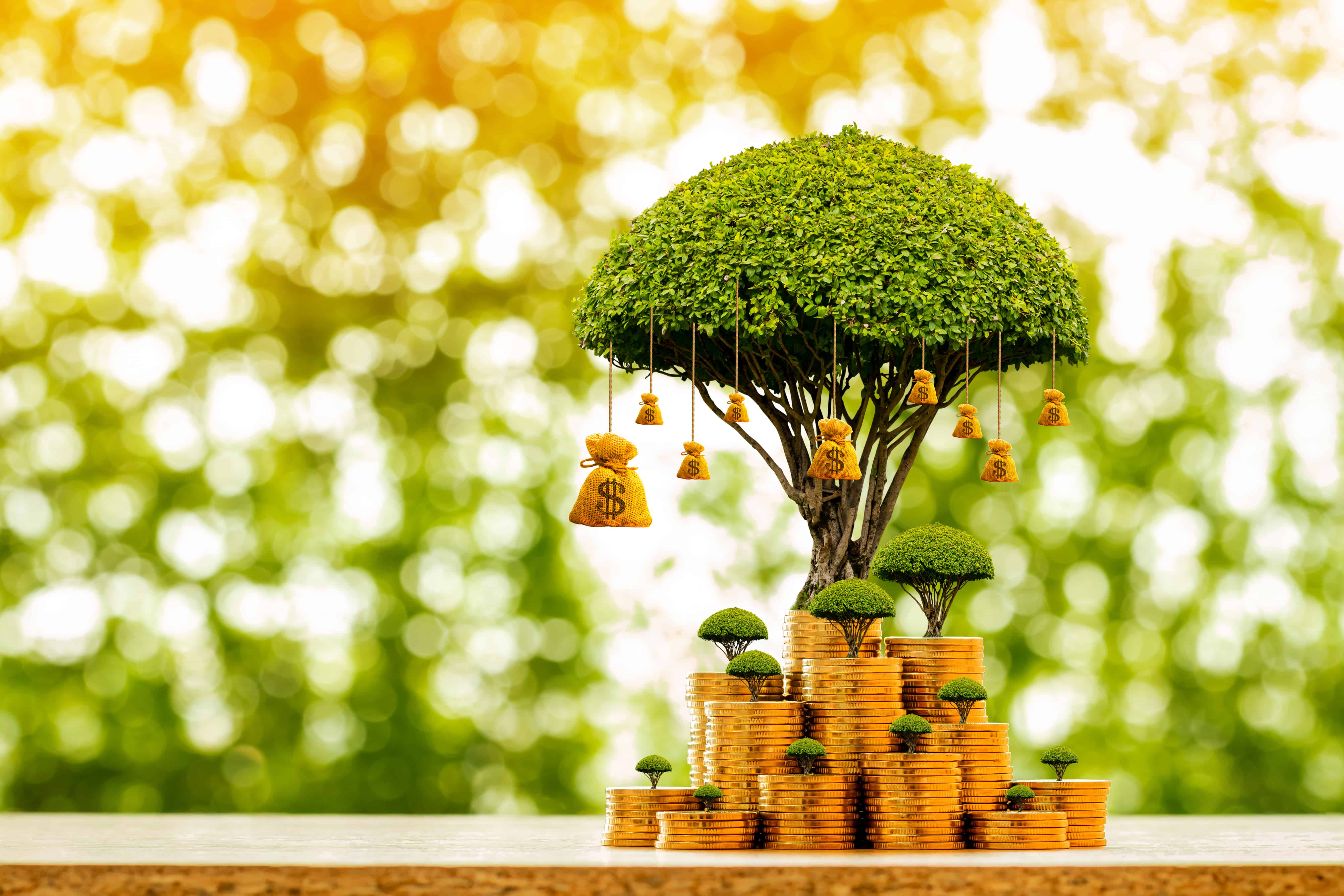 Leveraged Investing Using Borrowed Funds For Personal Gain Family 